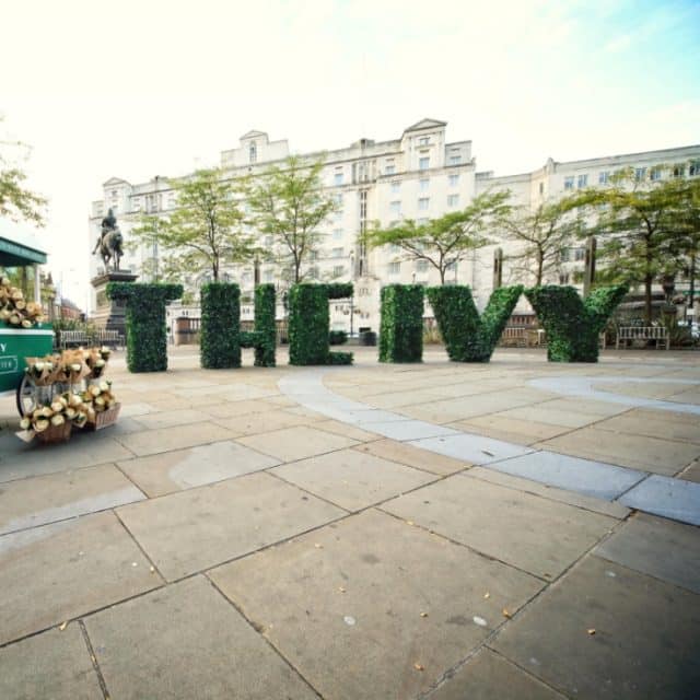 Pure Wins Region-Wide PR Account For The Ivy Collection